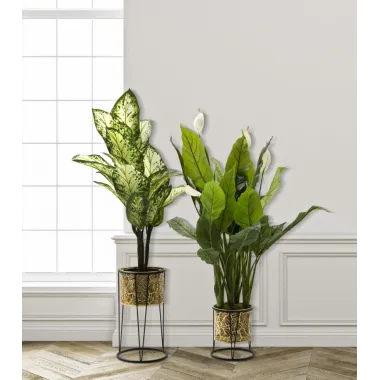 P/VASI LEAVY Para cm 21x40-19x22
